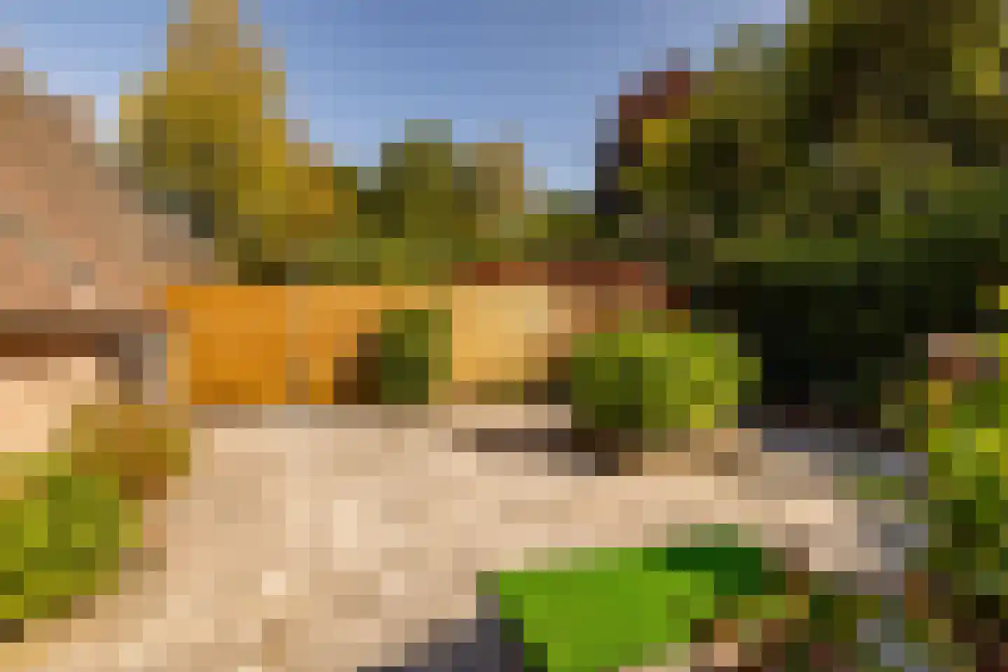 Dissel 5 Zuidwolde thumbnail 44