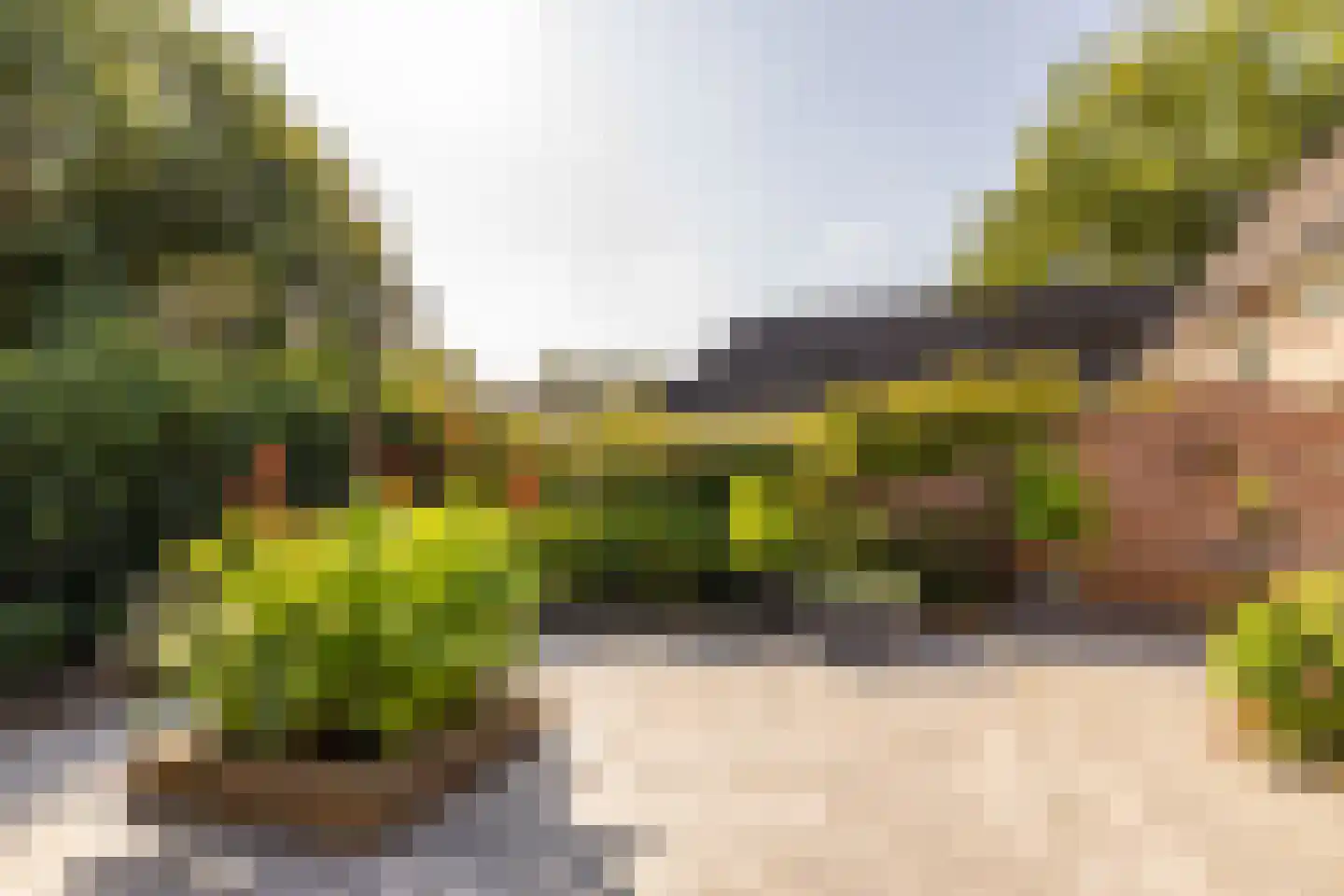 Dissel 5 Zuidwolde thumbnail 45