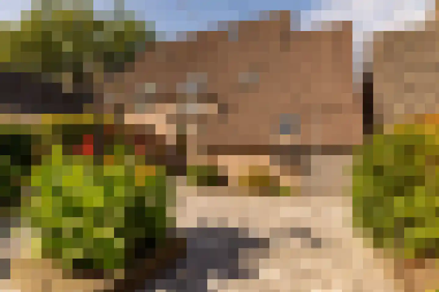 Dissel 5 Zuidwolde thumbnail 46