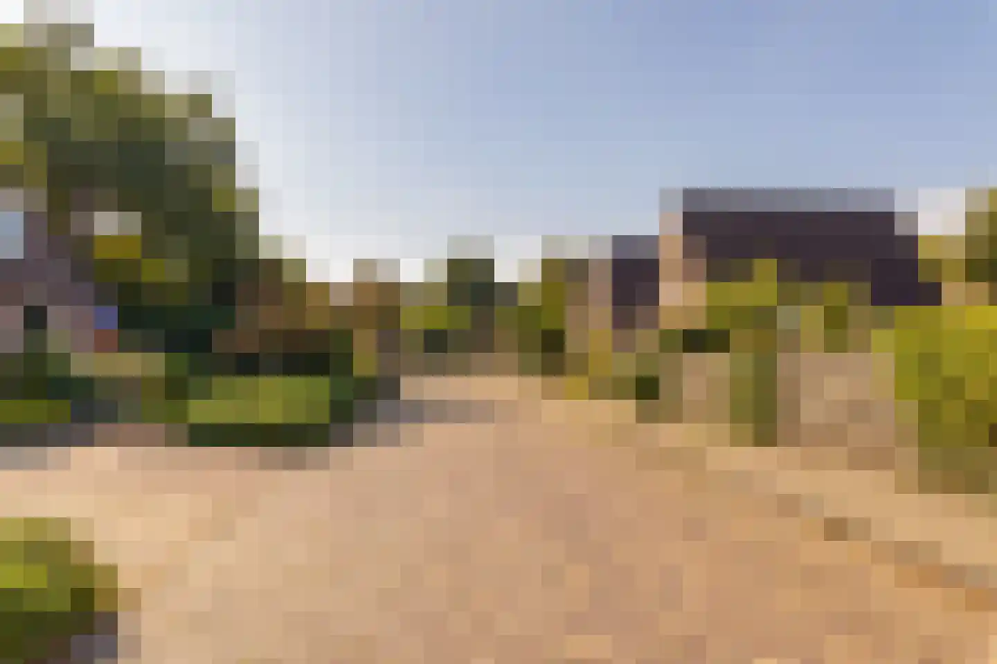 Dissel 5 Zuidwolde thumbnail 48