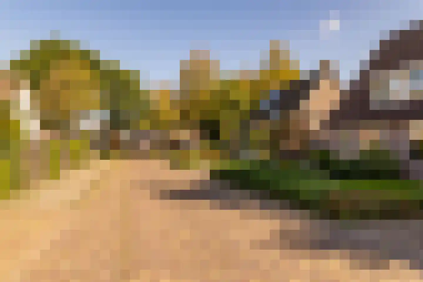 Dissel 5 Zuidwolde thumbnail 49