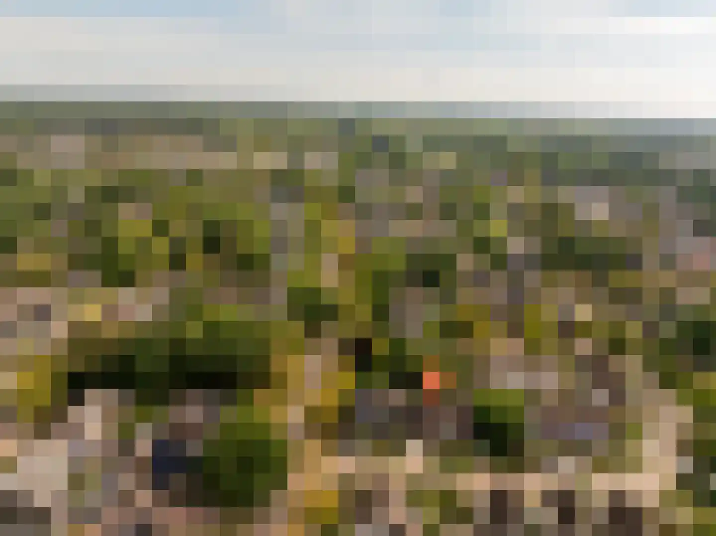 Dissel 5 Zuidwolde thumbnail 50