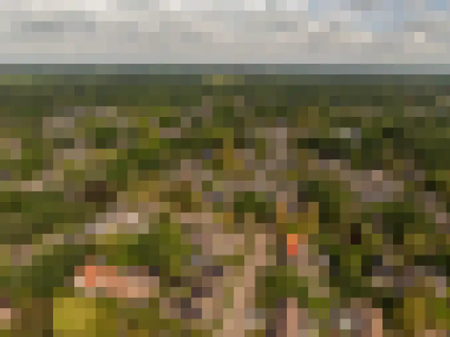 Dissel 5 Zuidwolde thumbnail 51