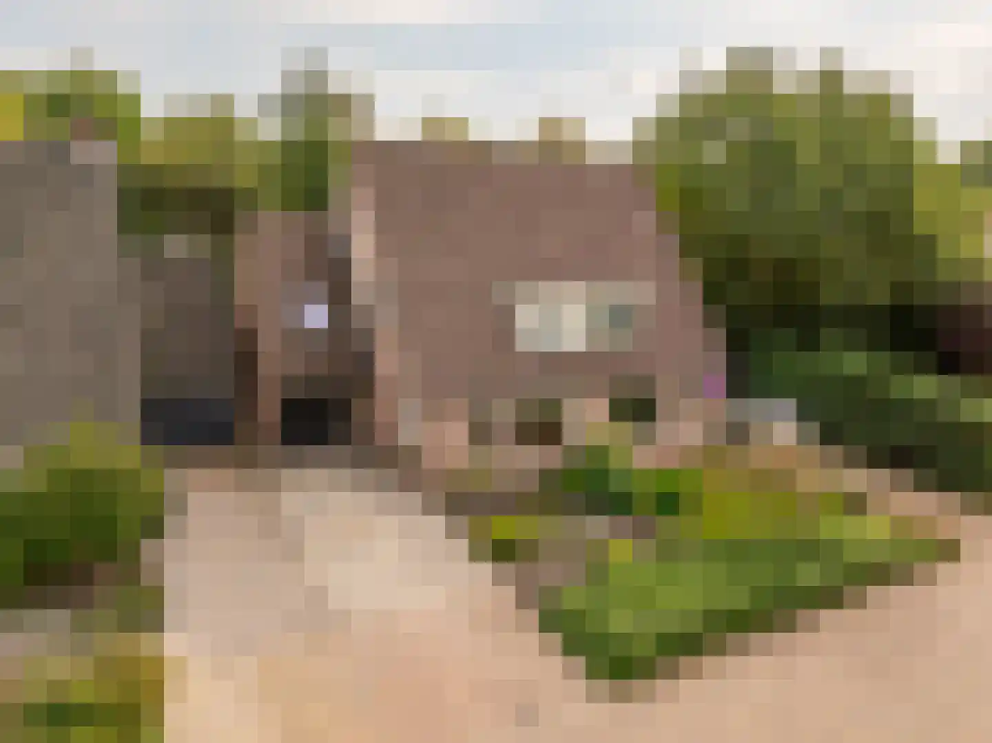 Dissel 5 Zuidwolde thumbnail 6