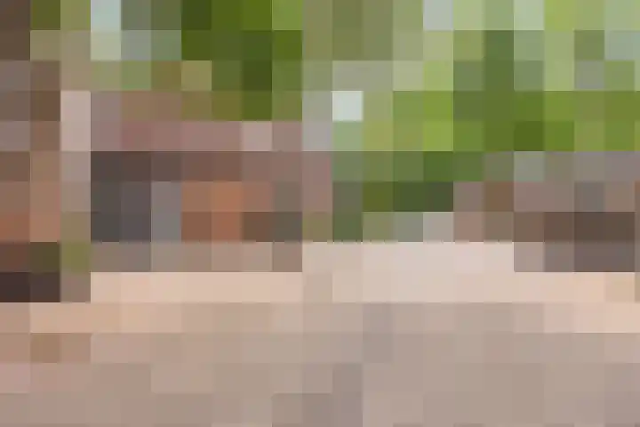 Dissel 50 IJsselstein thumbnail 32