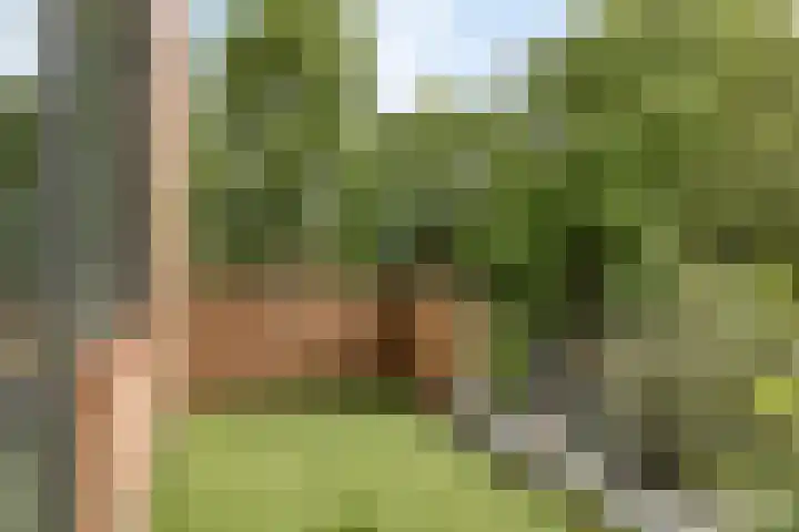 Dissel 50 IJsselstein thumbnail 34