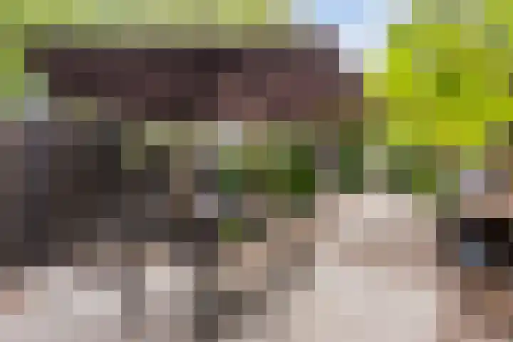 Dissel 50 IJsselstein thumbnail 37