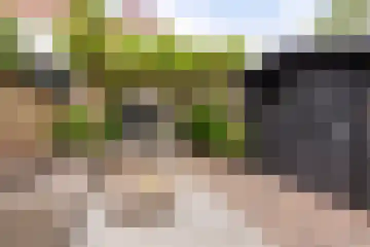 Dissel 50 IJsselstein thumbnail 39