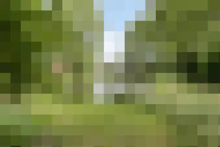 Dissel 50 IJsselstein thumbnail 40