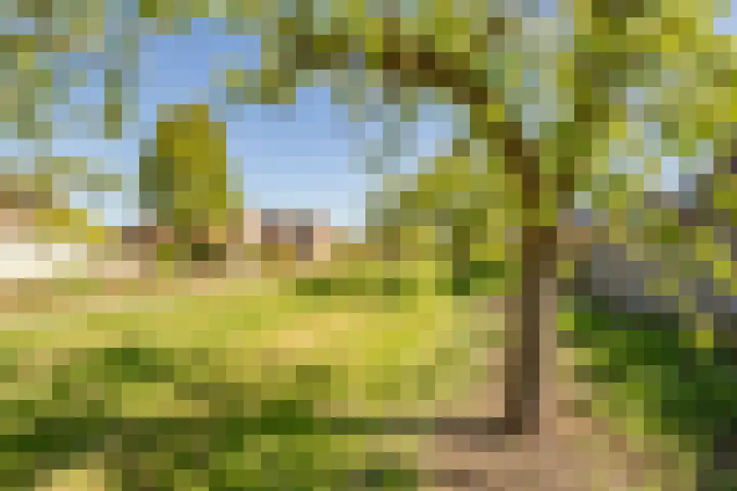Dissel 57 IJsselstein thumbnail 49