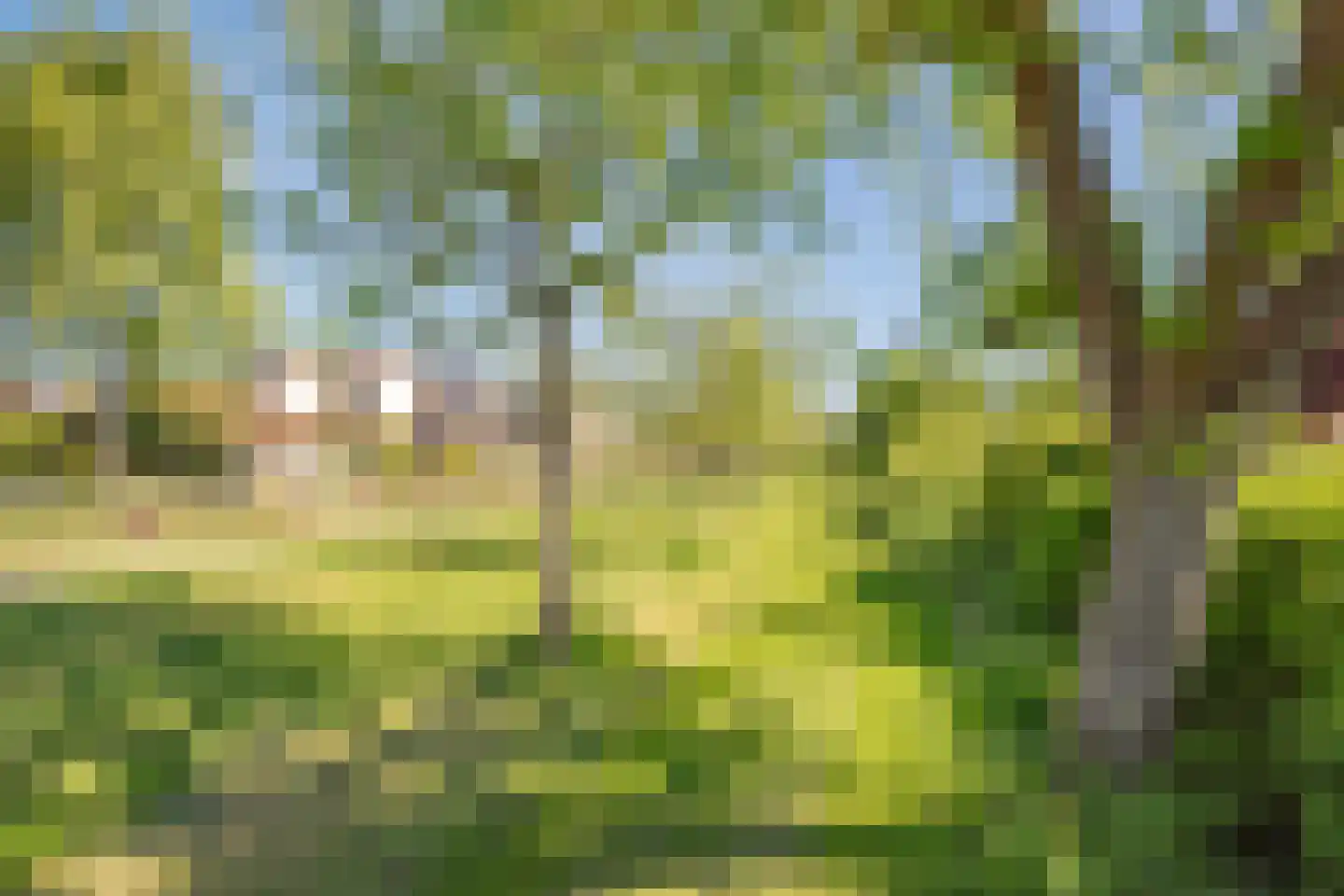 Dissel 57 IJsselstein thumbnail 50