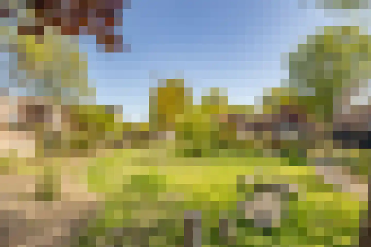 Dissel 57 IJsselstein thumbnail 51