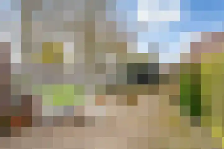 Dissel 58 IJsselstein thumbnail 13