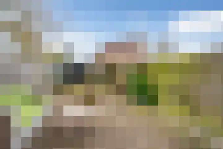 Dissel 58 IJsselstein thumbnail 14