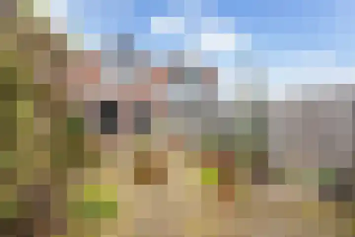 Dissel 58 IJsselstein thumbnail 16
