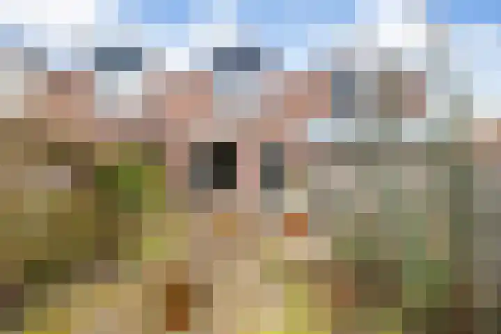 Dissel 58 IJsselstein thumbnail 17