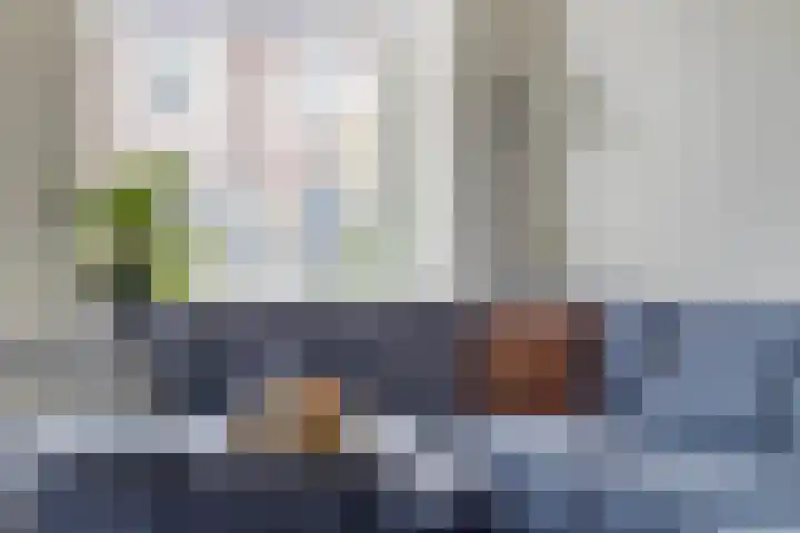 Dissel 61 Maarheeze thumbnail 10