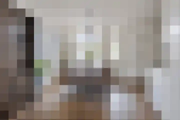Dissel 61 Maarheeze thumbnail 11