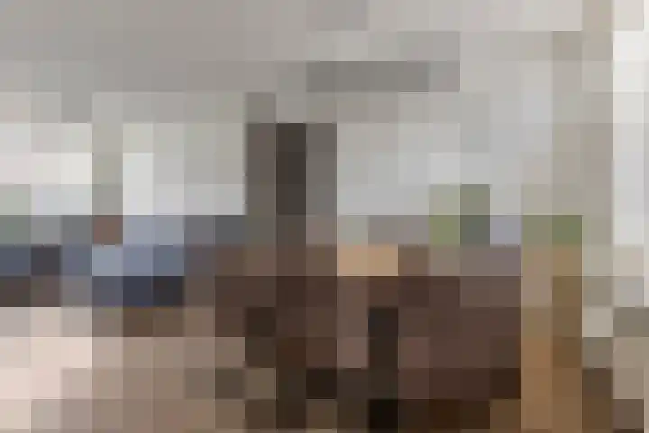 Dissel 61 Maarheeze thumbnail 12
