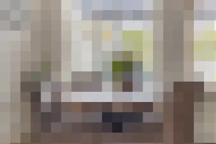 Dissel 61 Maarheeze thumbnail 13