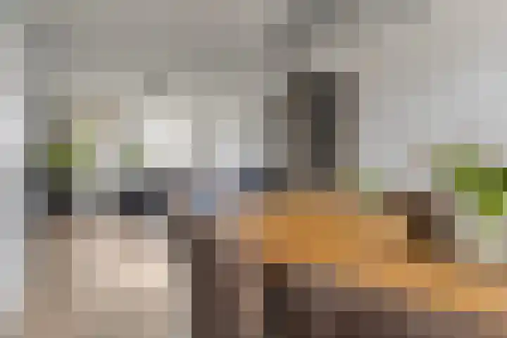 Dissel 61 Maarheeze thumbnail 14