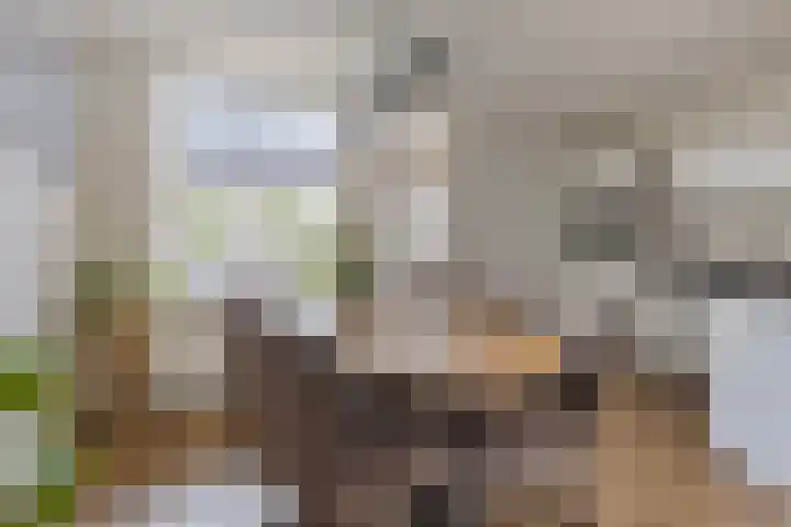 Dissel 61 Maarheeze thumbnail 15