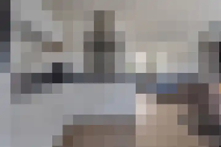 Dissel 61 Maarheeze thumbnail 17