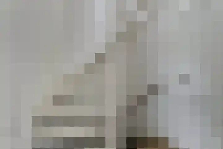 Dissel 61 Maarheeze thumbnail 19