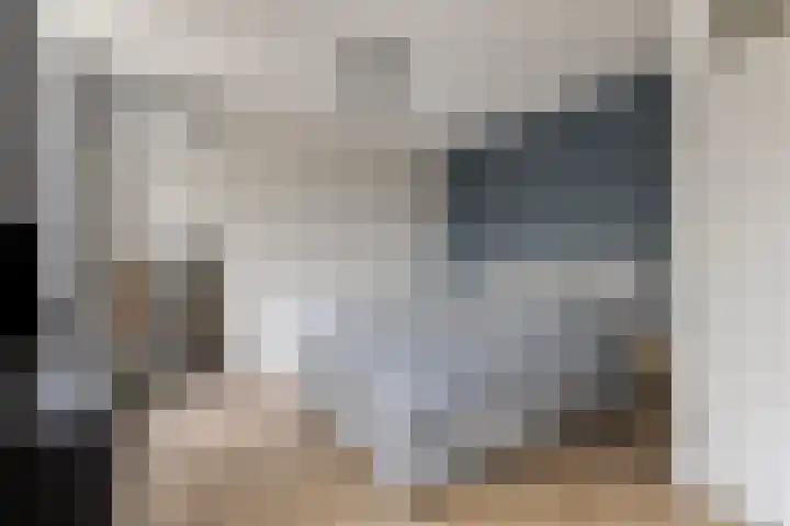 Dissel 61 Maarheeze thumbnail 20