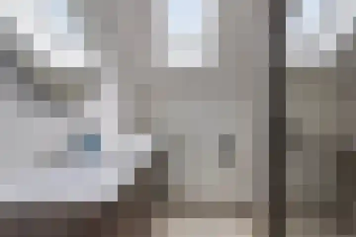 Dissel 61 Maarheeze thumbnail 23