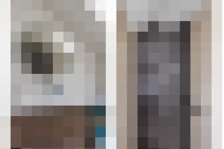Dissel 61 Maarheeze thumbnail 24