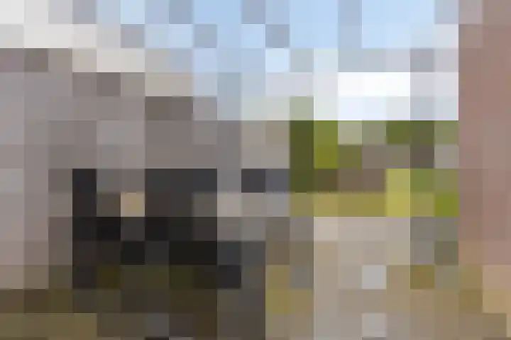 Dissel 61 Maarheeze thumbnail 27