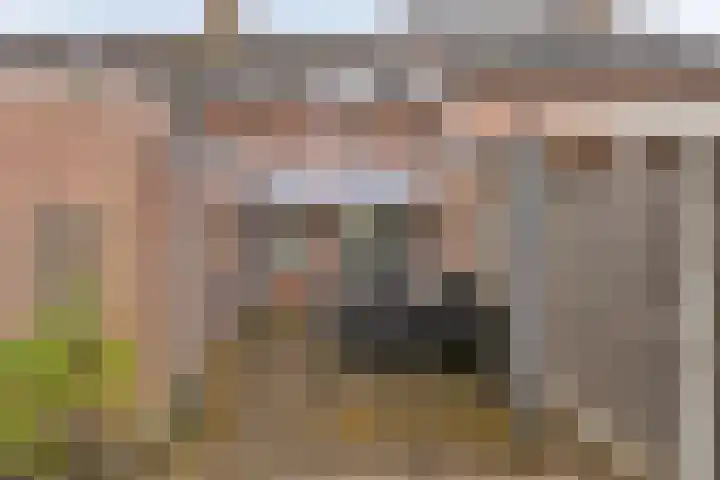 Dissel 61 Maarheeze thumbnail 28
