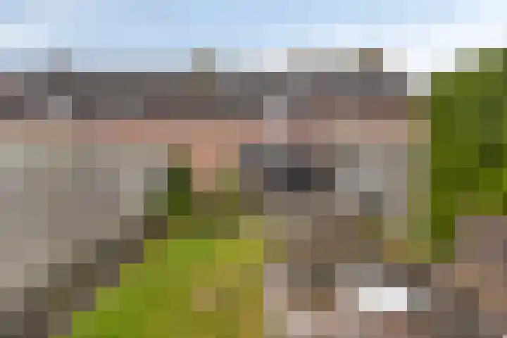 Dissel 61 Maarheeze thumbnail 29