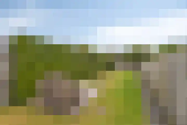 Dissel 61 Maarheeze thumbnail 30