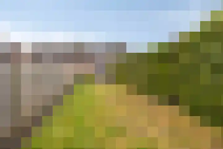 Dissel 61 Maarheeze thumbnail 31