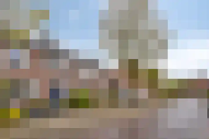 Dissel 61 Maarheeze thumbnail 32
