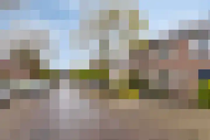 Dissel 61 Maarheeze thumbnail 33