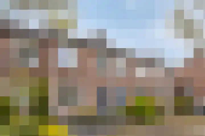 Dissel 61 Maarheeze thumbnail 37