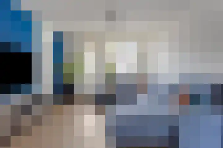 Dissel 61 Maarheeze thumbnail 9