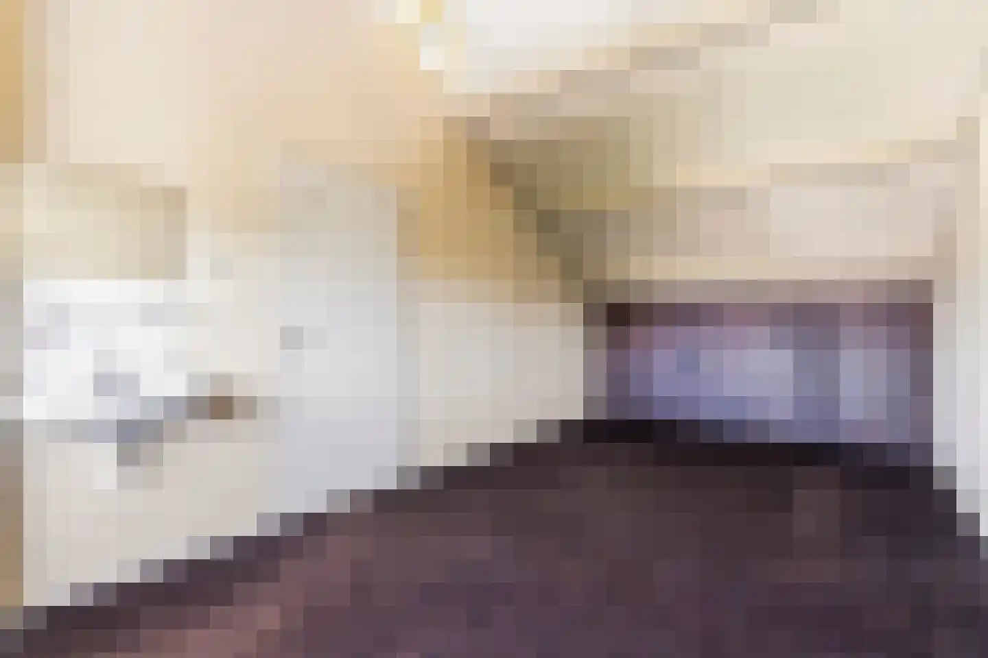 Dissel 7 Huissen thumbnail 27