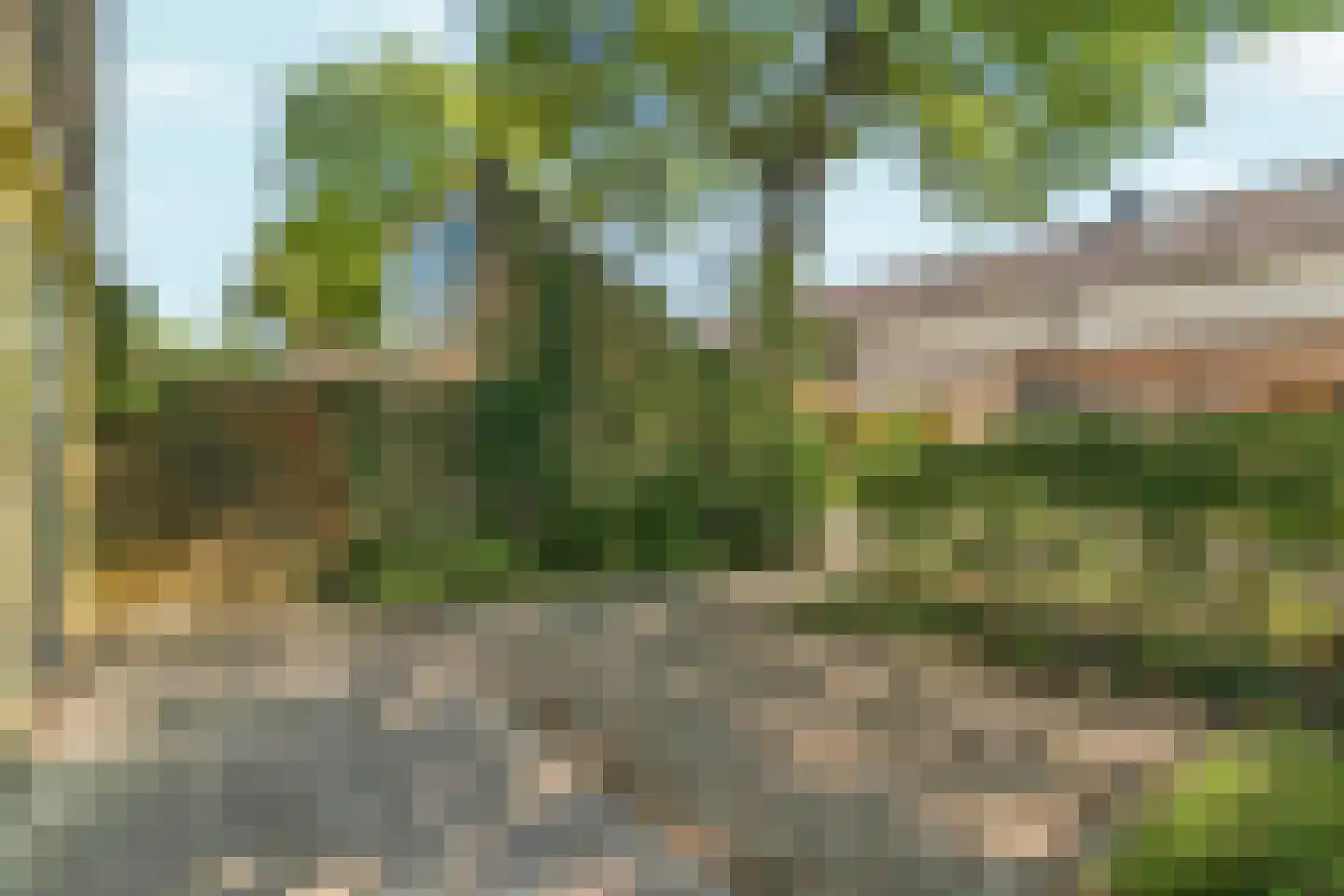 Dissel 7 Huissen thumbnail 32