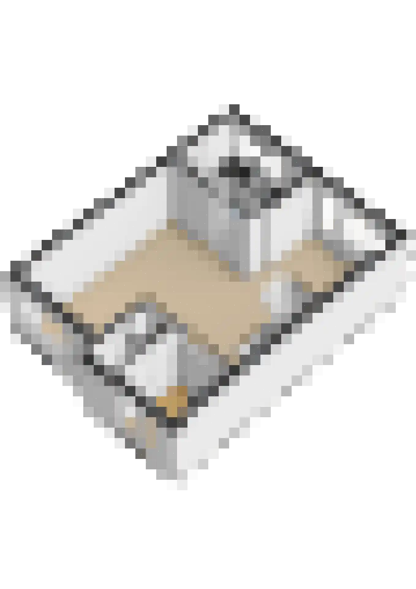 Dissel 7 Huissen thumbnail 36