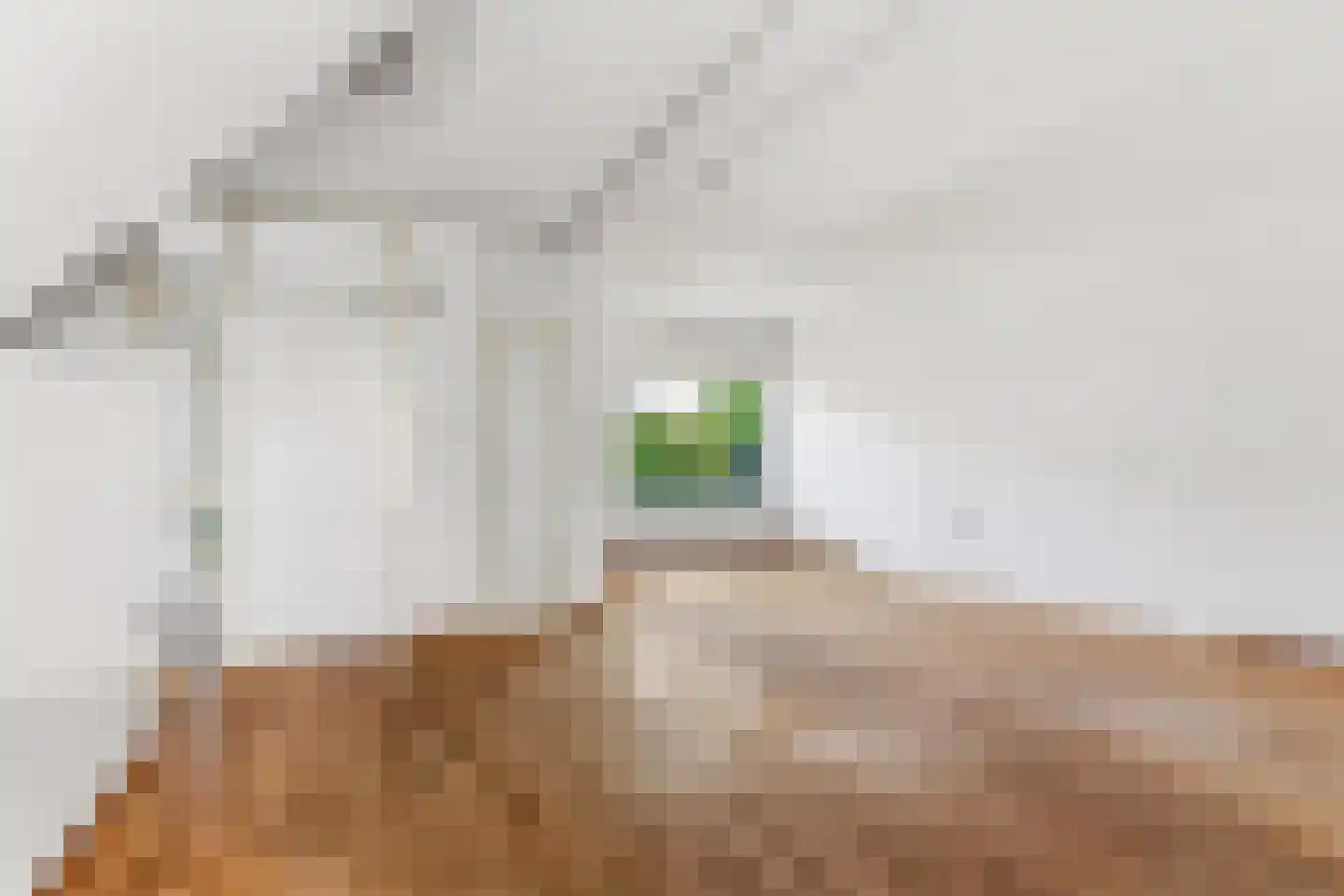 Dissel 7 Huissen thumbnail 5
