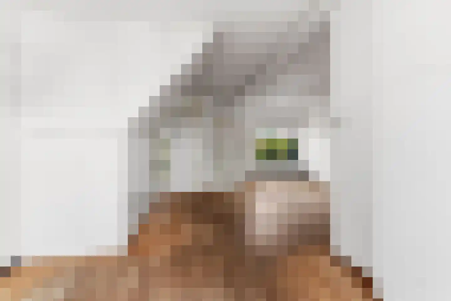 Dissel 7 Huissen thumbnail 6