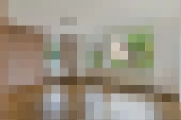 Dissel 7 Zuidwolde thumbnail 10