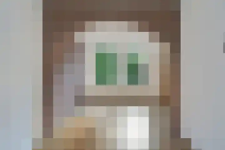 Dissel 7 Zuidwolde thumbnail 12