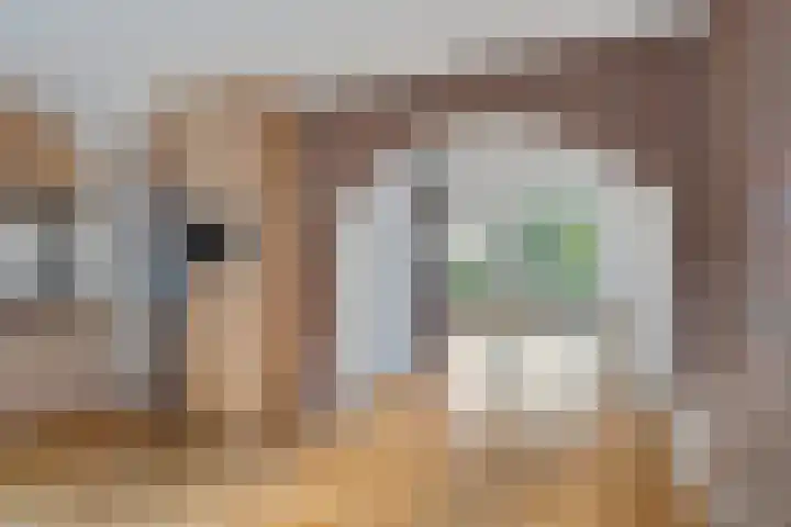 Dissel 7 Zuidwolde thumbnail 13