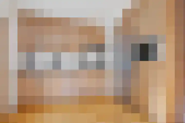 Dissel 7 Zuidwolde thumbnail 14