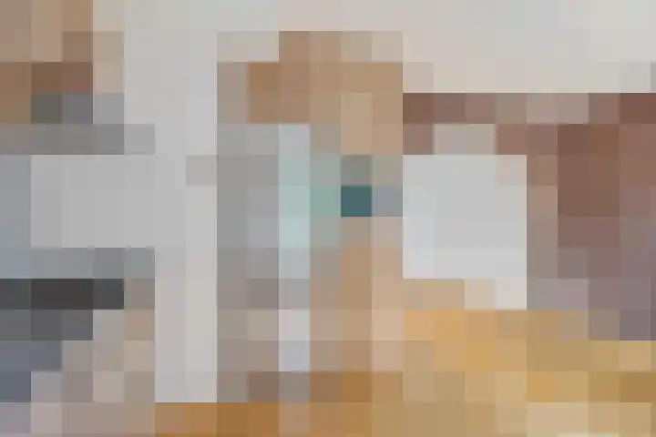Dissel 7 Zuidwolde thumbnail 15